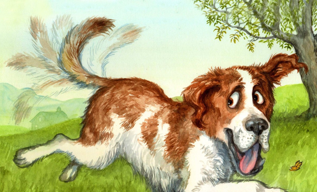 Wagsalot bounding through the grass with his tail mid-wag